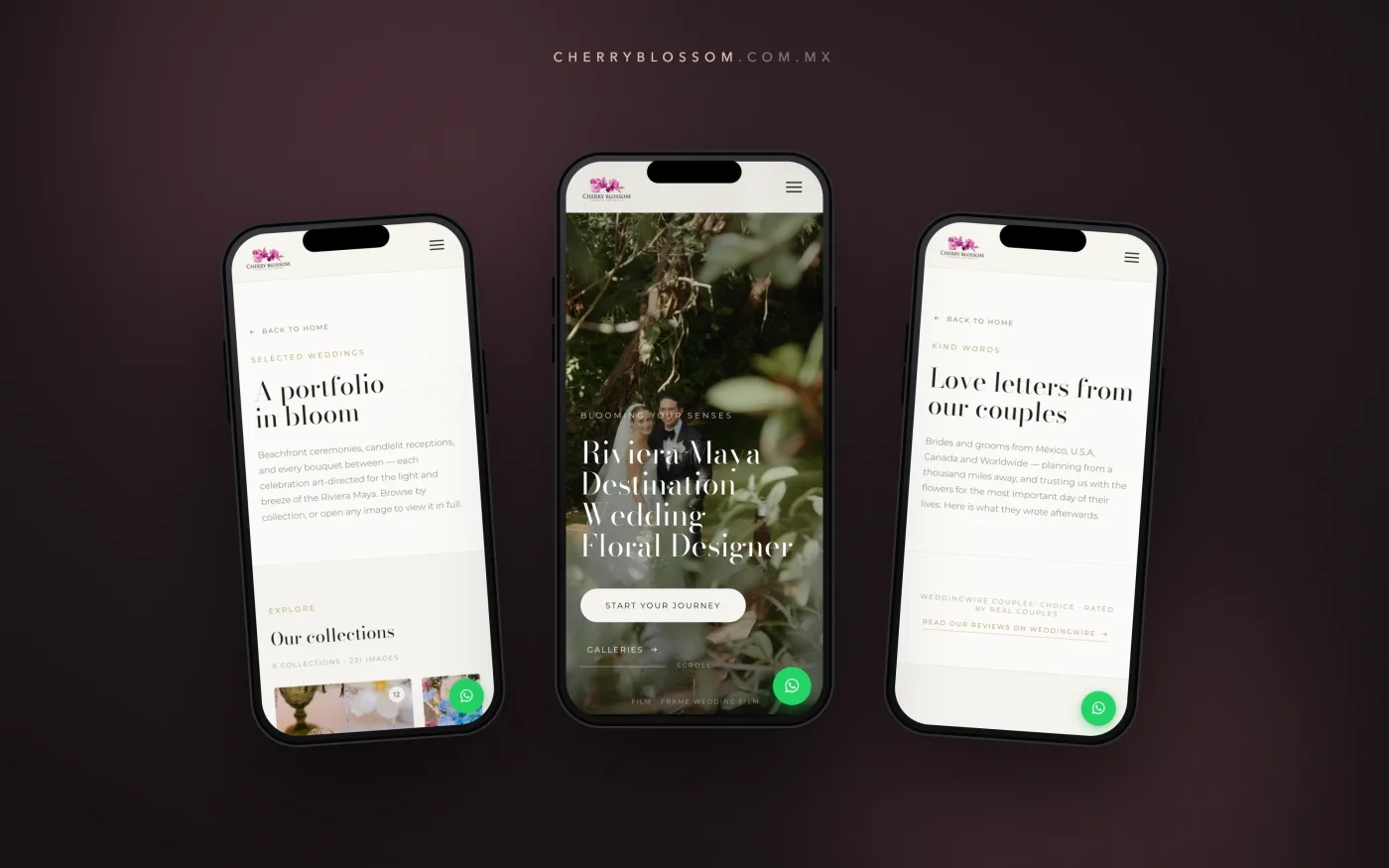 Home, portfolio, and testimonials pages on iPhone