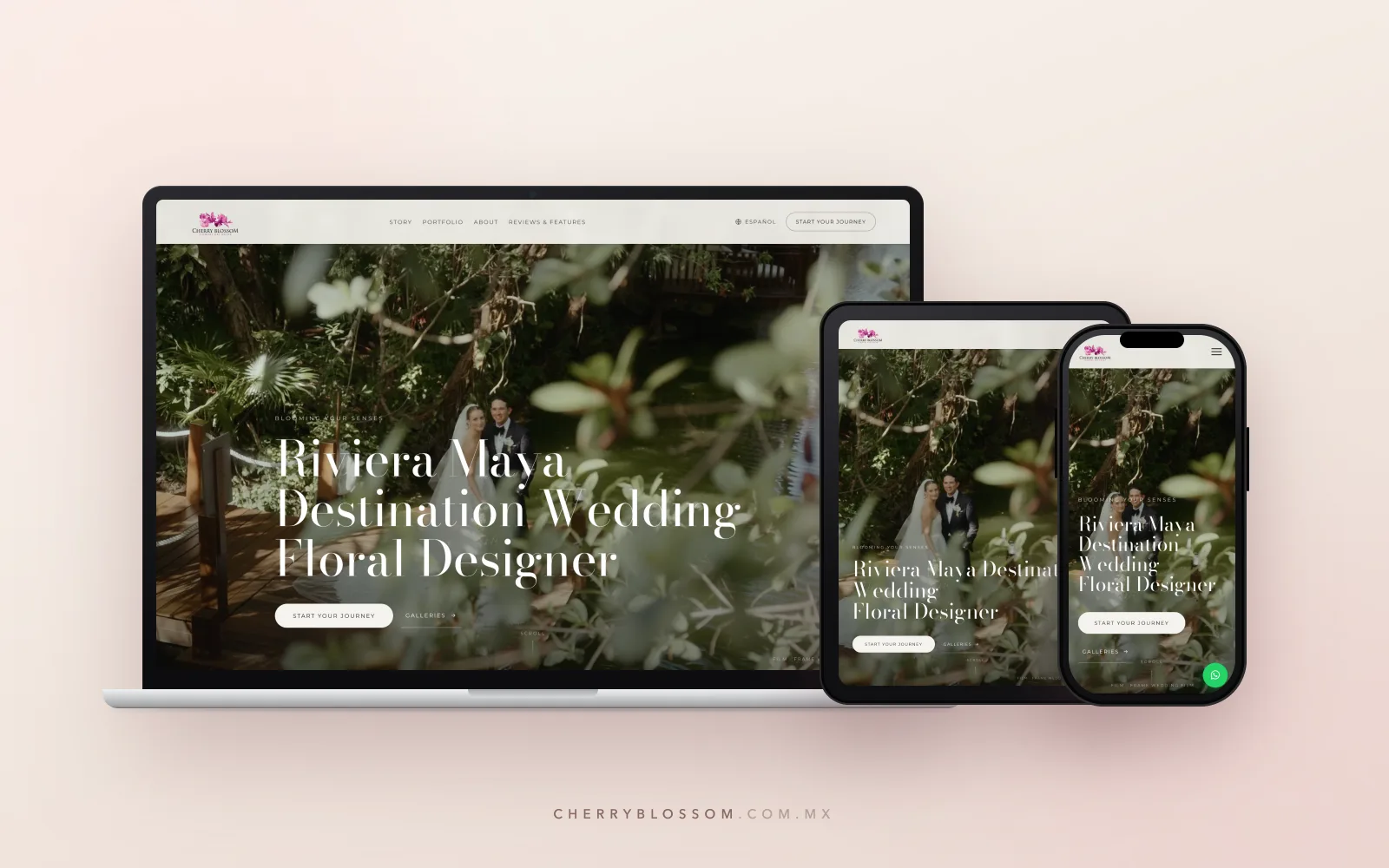 Cherry Blossom website shown on desktop, tablet, and phone